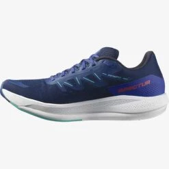 Salomon Men's Spectur Running Shoe - Estate Blue - Regular (D) 10 Salomon Men's Spectur Running Shoe - Estate Blue - Regular (D) -The Famous Shoe Store L41589900 db42dd799f39e42eb2172faad4d64078